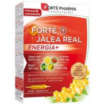 Jalea Real Energia Forte Pharma 20 Ampollas