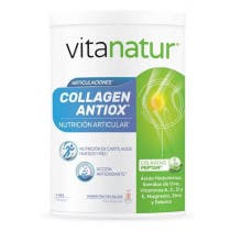 Collagen Antiox Plus Vitanatur 360g